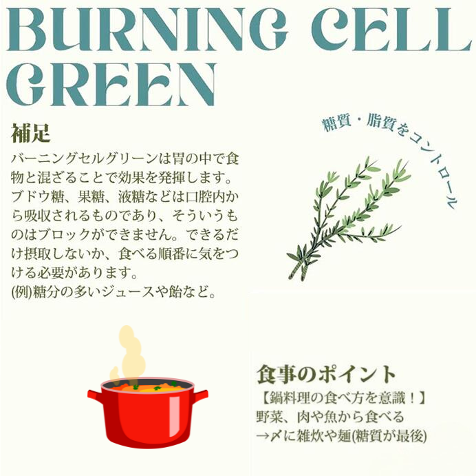 BURNING CELL 糖質・脂質カットサプリ GREEN - HANMI公式